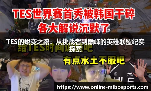 TES的蜕变之路：从挑战者到巅峰的英雄联盟纪实探索